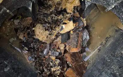 Détartrage de canalisation à Montaigu : intervention professionnelle