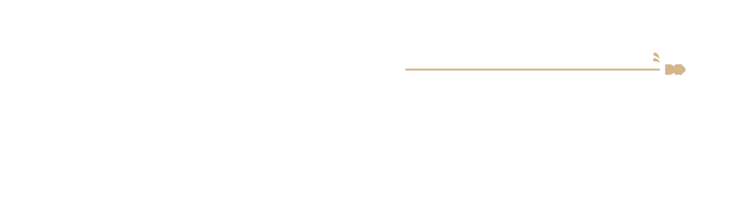 logo acf solutions blanc horizontal